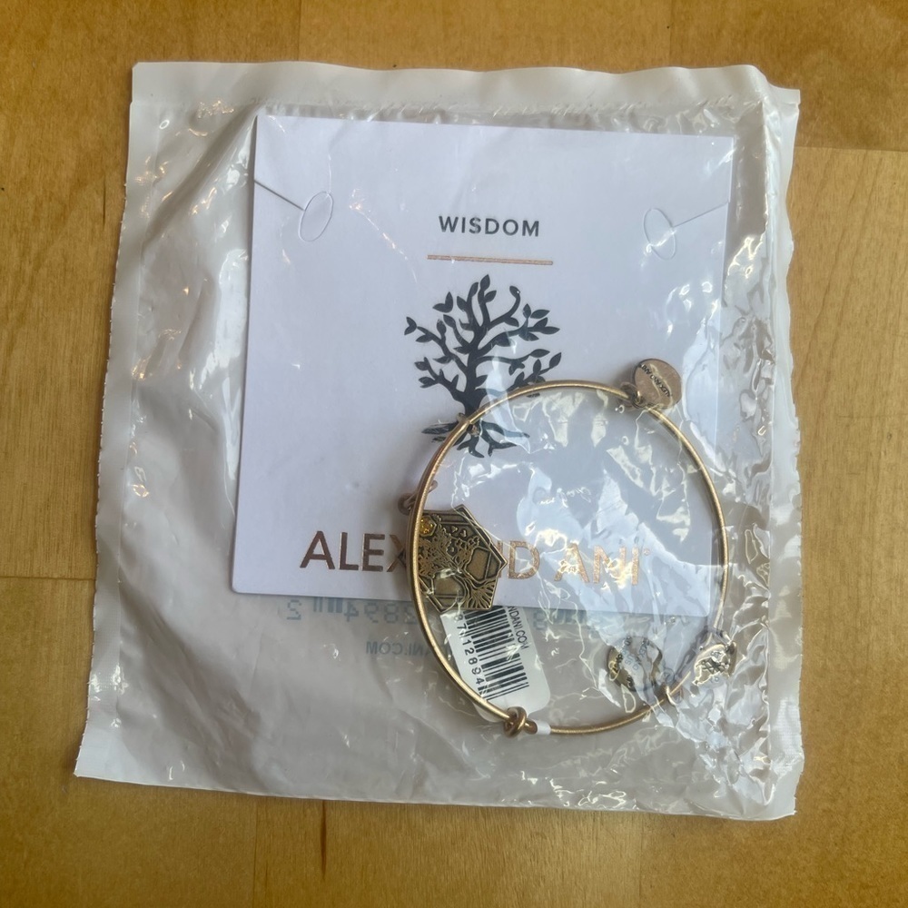 Unworn Alex and Ani ‘Wisdom’ Bangle Bracelet - Expandable Fit